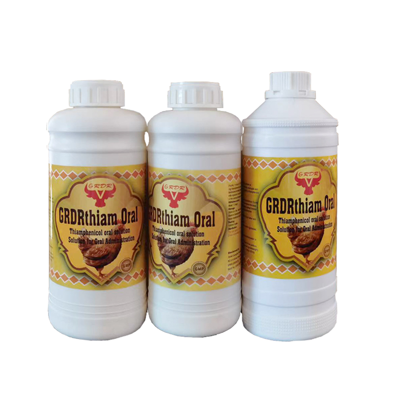 Poultry farm use thiamphenicol oral solution cure respiratory infections